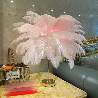 Natural Ostrich Feather Night Atmosphere Lamp